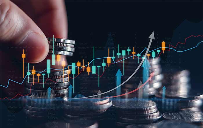 سرمایه گذاری 